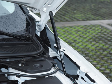 2026  2.0T  EcoBoost  