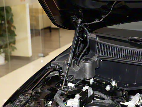 2025�� �Ŀ� 2.0T PHEV ���������� 6��