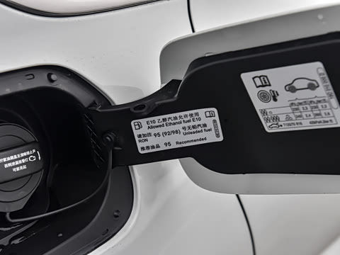 2026�� 300TSI DSG�ǿ����Ȱ�