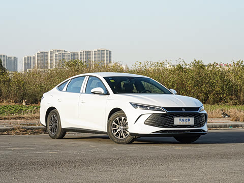 2026�� DM-i 128KM��ȡ��