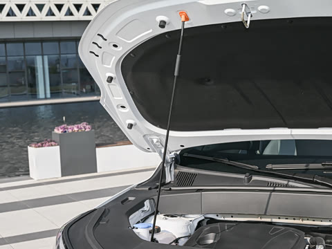 2026�� �����