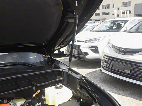 2026�� 2.5L���ܵ��˫���������� 7��