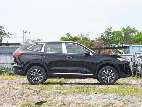 2026�� 1.5T ���������