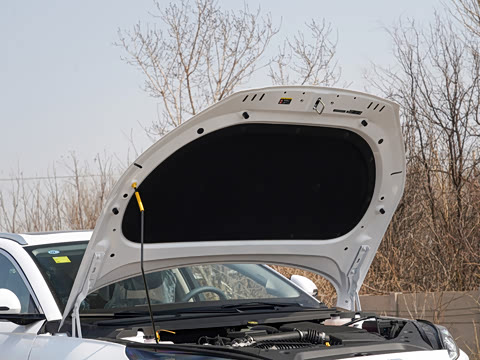 2026�� DM-i 200KM������