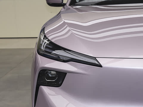 2025�� 565km ������