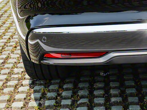 2025�� ���� Max+ ������������ 