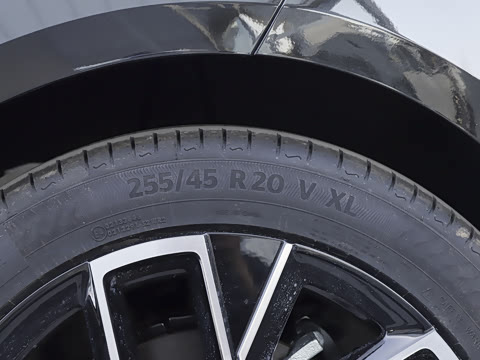 2025�� Elite���̰�