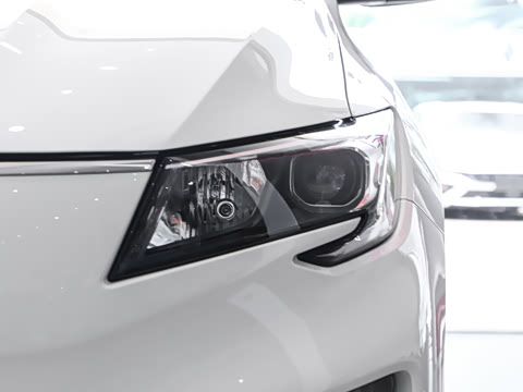 2026�� ������������