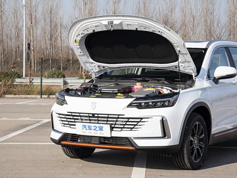 2026�� ������