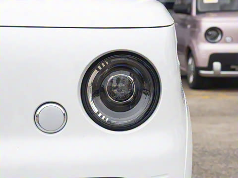 2025�� ������