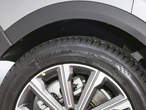 2025�� 120 �������������� 7�� �������