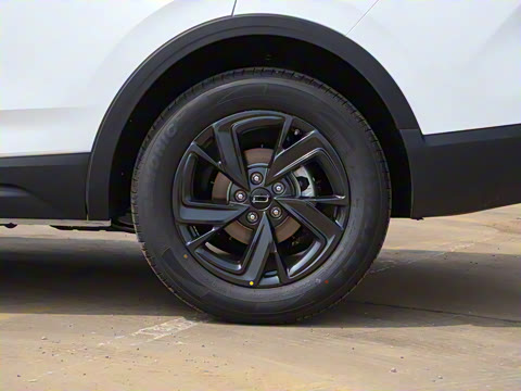 2025�� 150km ���ð�