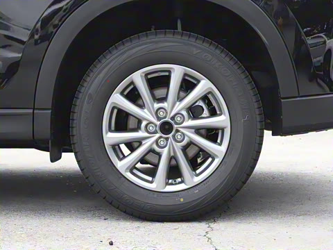 2025�� 2.0L �Զ�����������