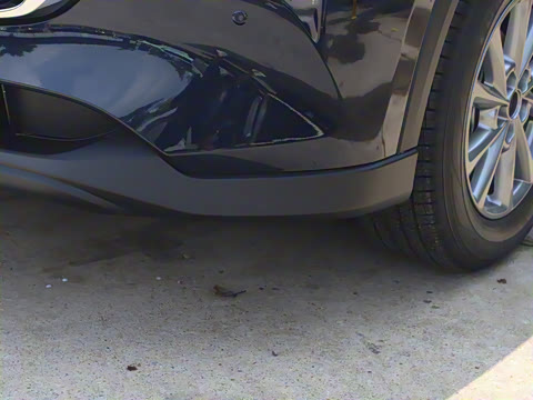 2025�� 2.0L �Զ���������Pro