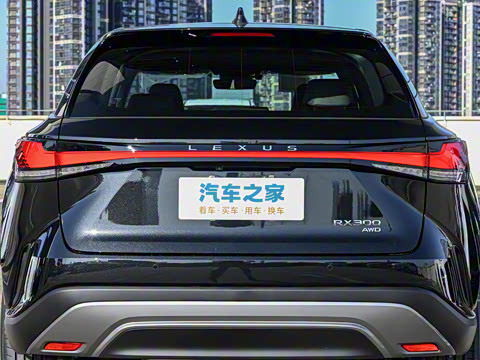 2026�� 300 ����������