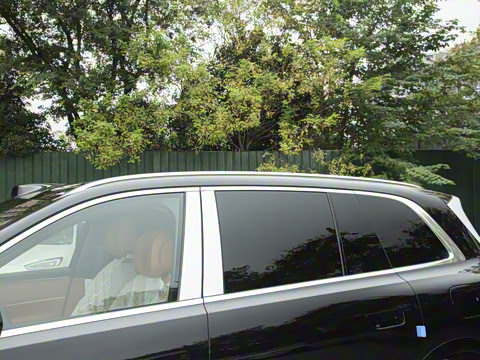 2025�� ���� Max+ ������������ 