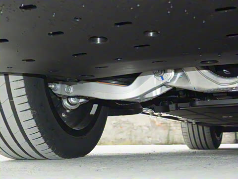 2025�� ���� Max+ ������������ 