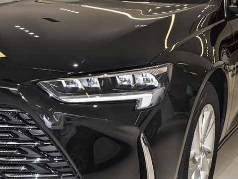 2025�� 25T ������