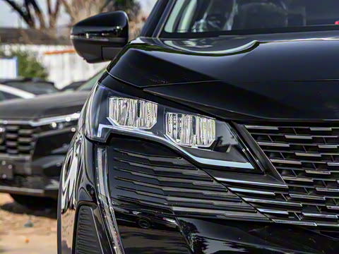 2025�� ������