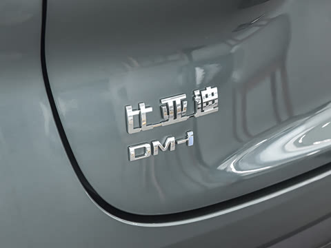 2027�� DM-i 320KM������