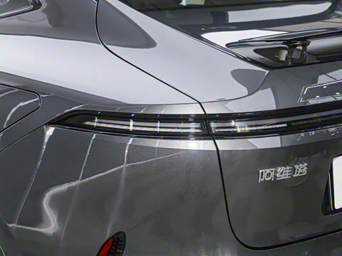 2025�� Max ���������