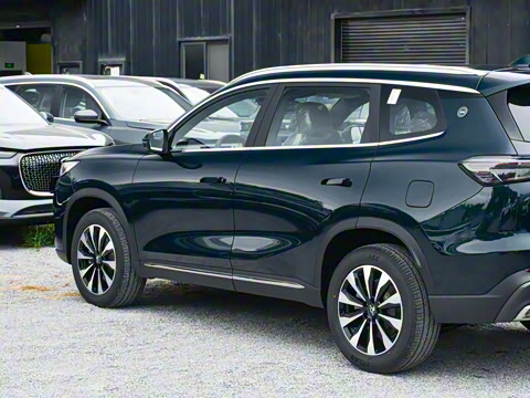 2025�� 290TGDI DCT���ư�