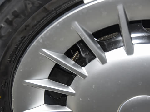 2025�� ������