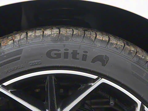 2026�� �����������̰� 310�콢��