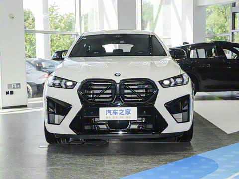 2024�� X6 M ������