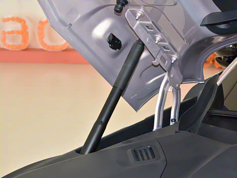 2025�� ������������Pro��