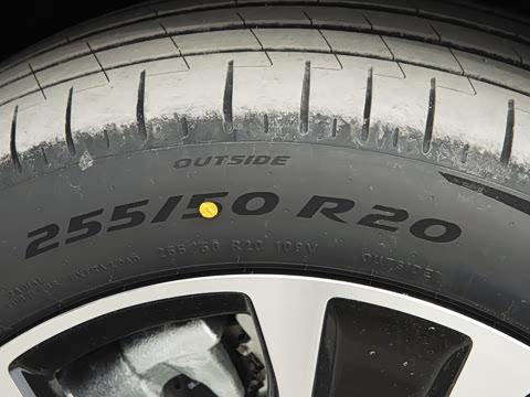 2026�� ���� Max�������� 5��