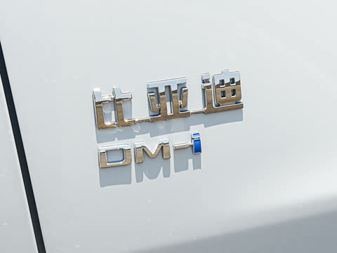 2026�� DM-i 310KM ��Խ��