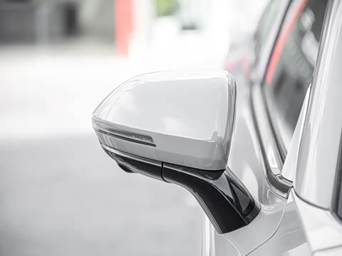 2025�� 100������Plus����