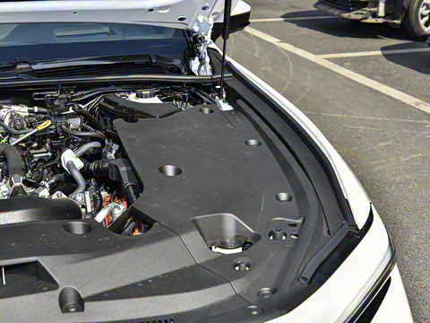 2024�� 2.5L �����