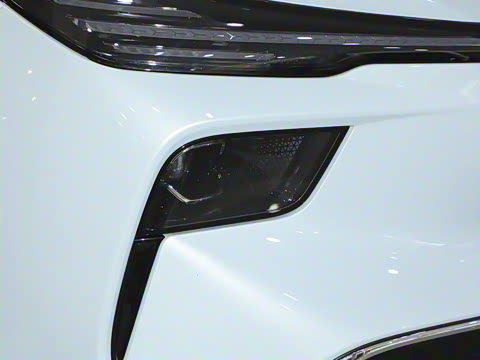 2025�� 565km ������