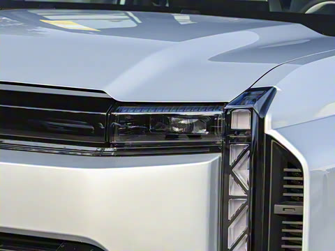 2025�� 520���������