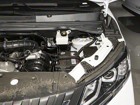 2025�� 2.0L �ֶ���������� 9��