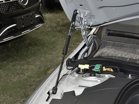 2025�� 300L �����������ǰ�