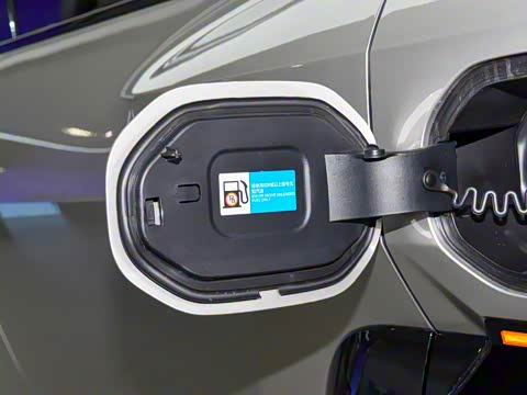 2025�� ���º����� 5��