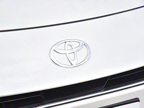 2026�� ˫�� 2.0HGVP ������