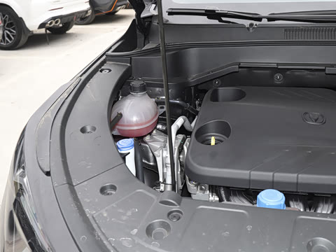 2026�� �ǻ������� 130km ս����