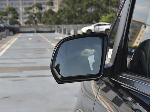 2025�� ������