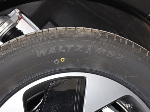 2026�� ���� 602 Max �콢��