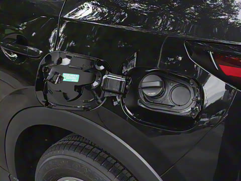 2025�� 2.0L �Զ���������Pro