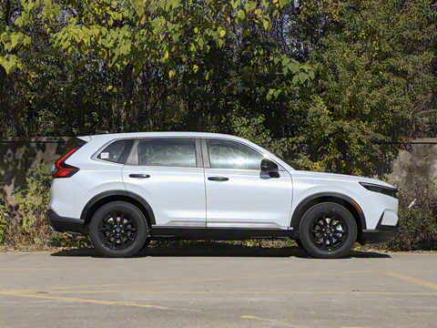 2026�� ȫ��30����ҫ�� 2.0L e:HEV �������а�