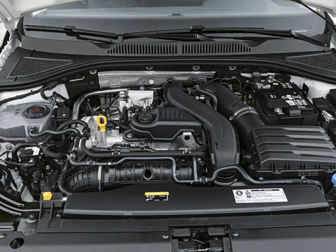 2026�� 300TSI DSG�ǿ����Ȱ�