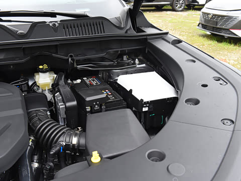 2026�� ���Ĵ� 1.5T ������ ������