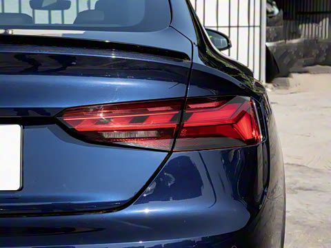 2024�� RS 5 2.9T Sportback ȼ���