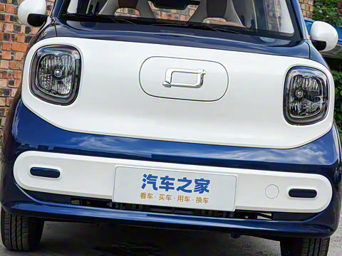 2026�� 222km ��ҫ��