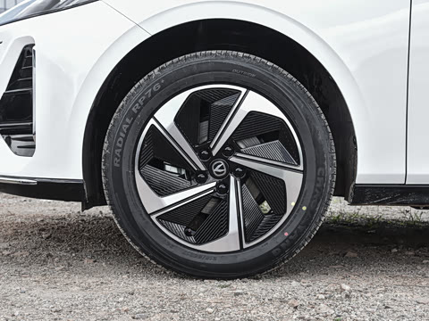 2026�� 1.5L �������� ������